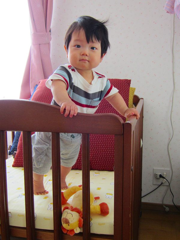 ���߂Ă̂��܂藧��