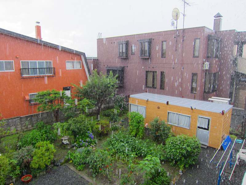 ����ł��E�E�E